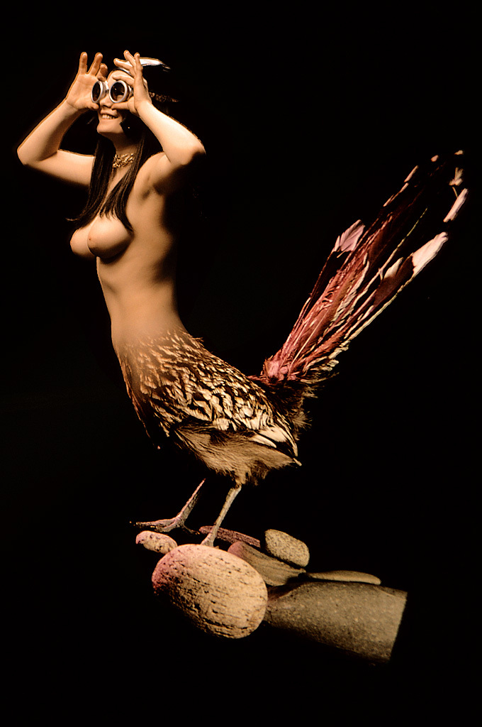 Классика Playboy - птицы Америки (эротика) Классика Playboy - птицы Америки (эротика)