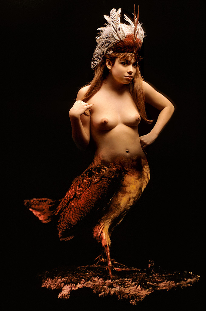 Классика Playboy - птицы Америки (эротика) Классика Playboy - птицы Америки (эротика)