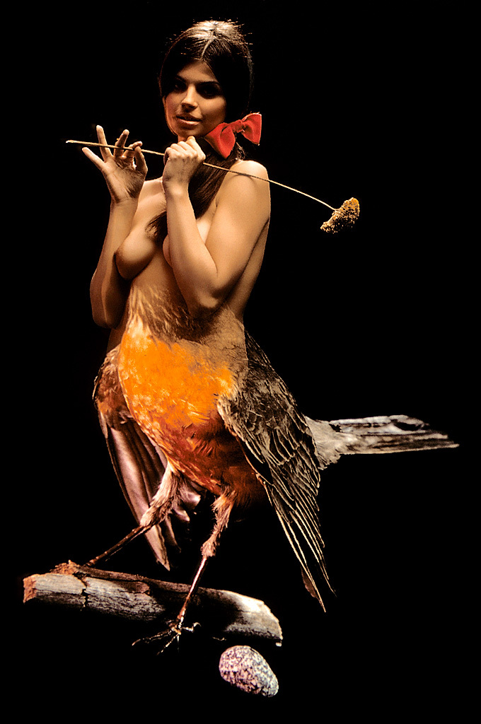 Классика Playboy - птицы Америки (эротика) Классика Playboy - птицы Америки (эротика)