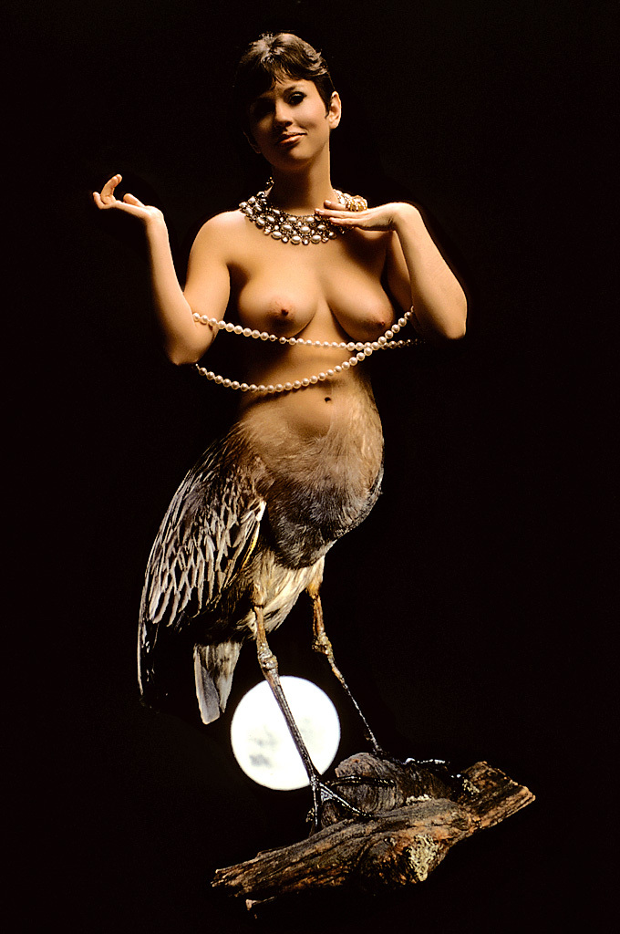 Классика Playboy - птицы Америки (эротика) Классика Playboy - птицы Америки (эротика)