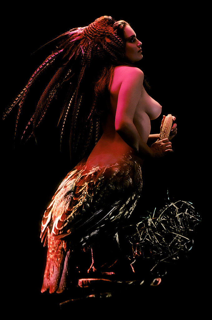 Классика Playboy - птицы Америки (эротика) Классика Playboy - птицы Америки (эротика)