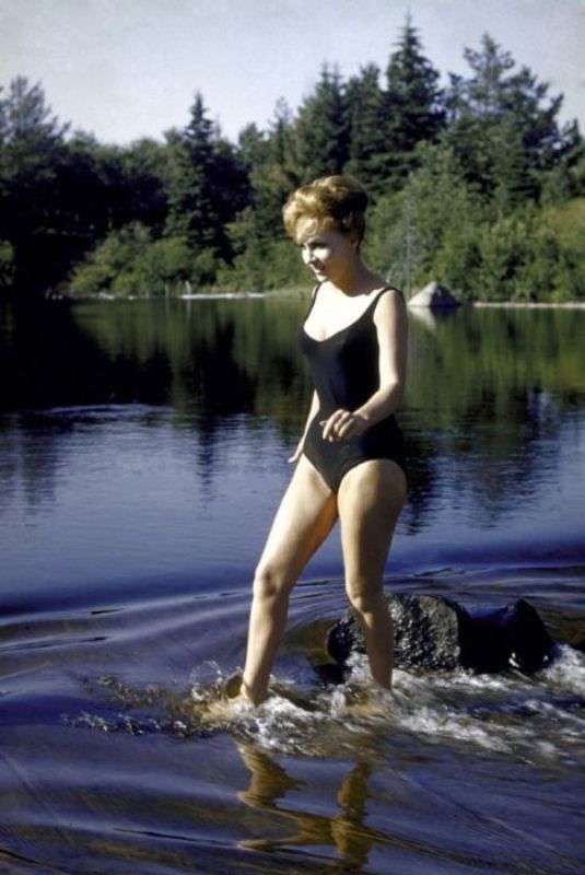 Красавицы 40-х годов прошлого века Красавицы 40-х годов прошлого века