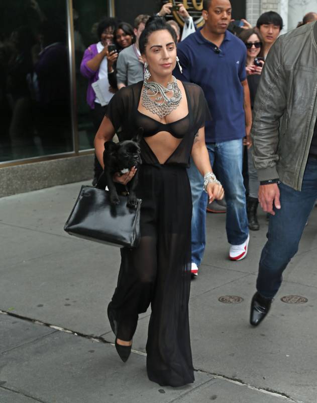 Откровенный наряд Леди Гагы Откровенный наряд Леди Гагы