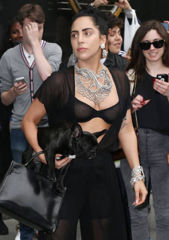 Откровенный наряд Леди Гагы Откровенный наряд Леди Гагы