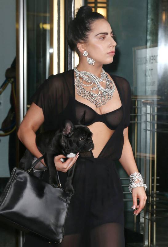 Откровенный наряд Леди Гагы Откровенный наряд Леди Гагы