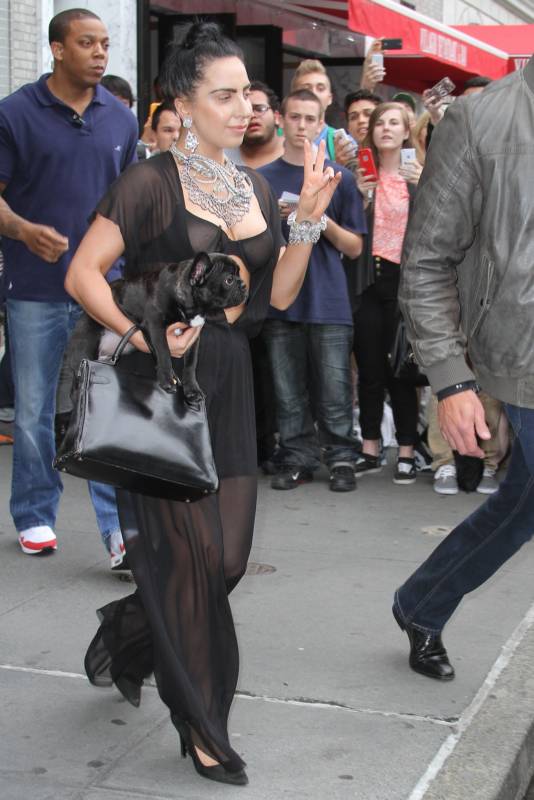 Откровенный наряд Леди Гагы Откровенный наряд Леди Гагы