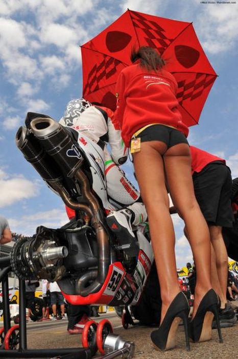 Пошлые картинки для взрослых. Часть 38