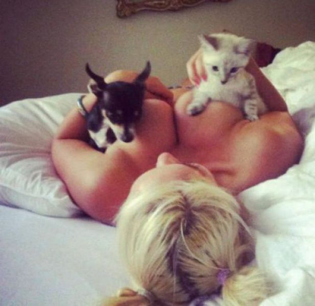 Пошлые картинки для взрослых. Часть 42