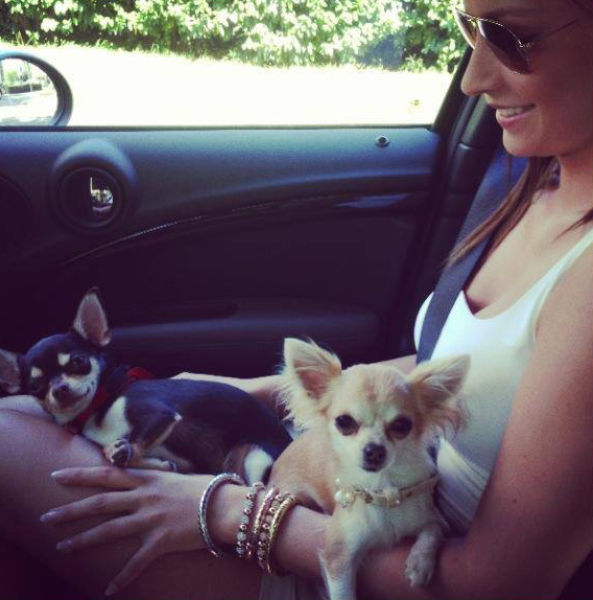 Сексуальные девушки всемирно известных футболистов Сексуальные девушки всемирно известных футболистов