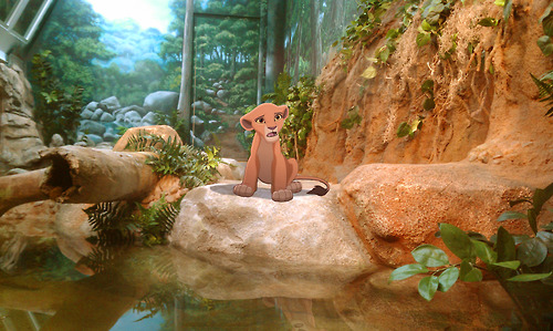 Суровая реальности диснеевских мультиков