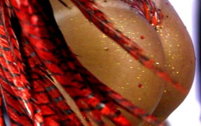 Карнавал в Рио-де-Жанейро с другой стороны