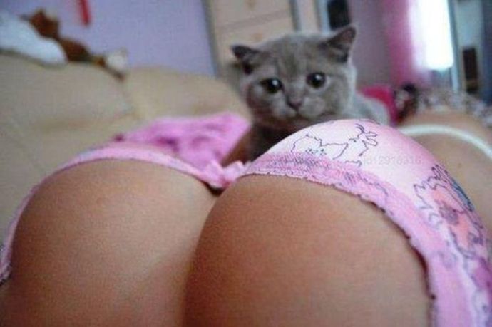 Пошлые картинки для взрослых. Часть 34