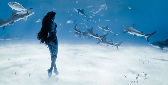 Смертельный танец модели с тигровыми акулами