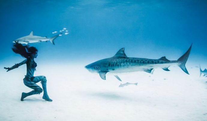 Смертельный танец модели с тигровыми акулами