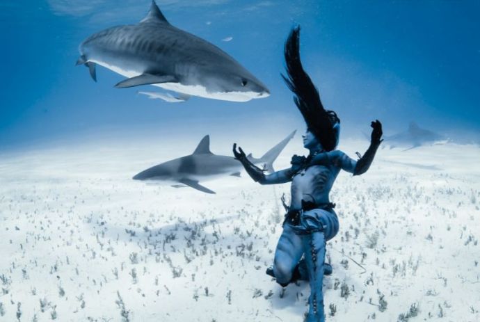 Смертельный танец модели с тигровыми акулами