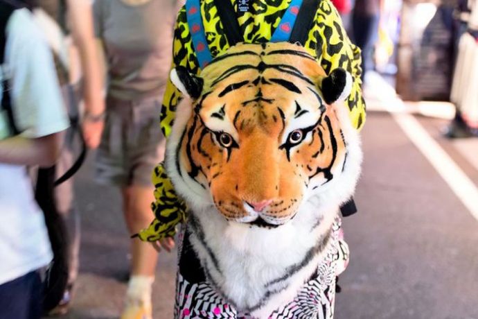 Современная японская молодежная мода