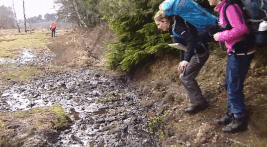 Весёлые женщины!