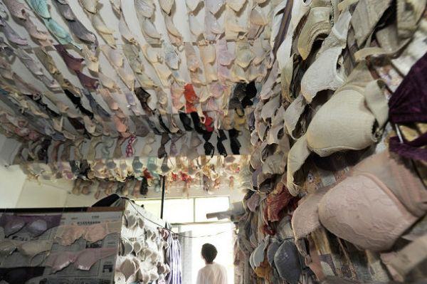 Внушительная коллекция любителя лифчиков Внушительная коллекция любителя лифчиков