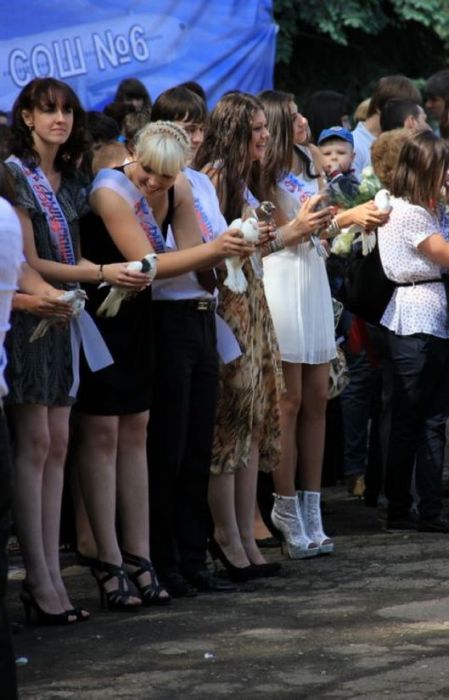 Выпускницы на экране монитора Выпускницы на экране монитора