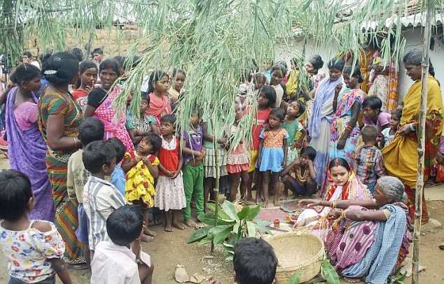 Девушка вышла замуж за пса ради спасения деревни Девушка вышла замуж за пса ради спасения деревни