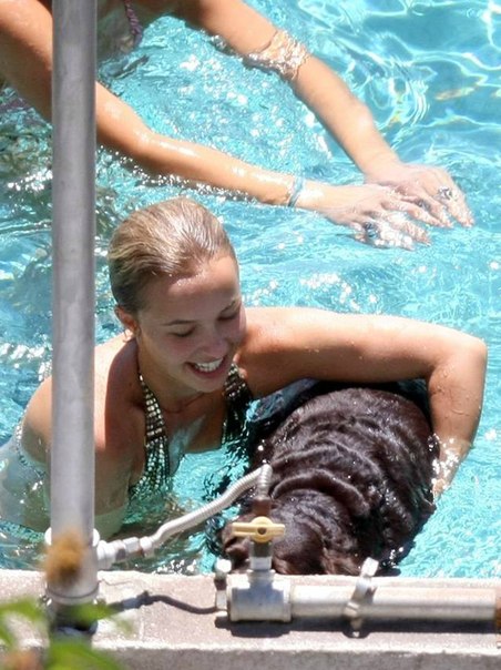 Хейден Панеттьер (голые звезды, обнаженные знаменитости)