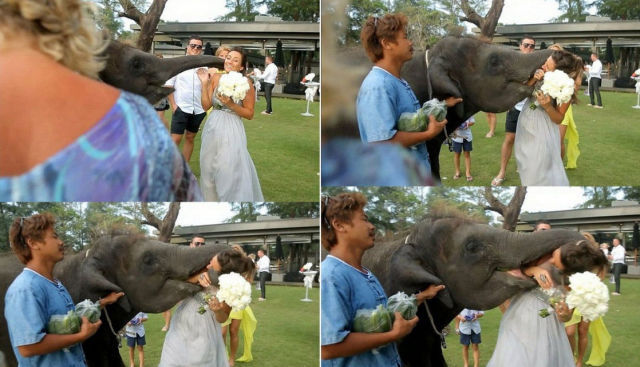 Неудачные фото со свадеб