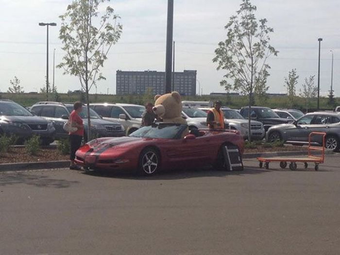 Подарок для своей девушке Подарок для своей девушке