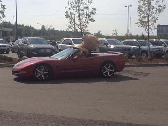 Подарок для своей девушке Подарок для своей девушке