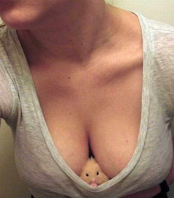 Пошлые картинки для взрослых. Часть 46