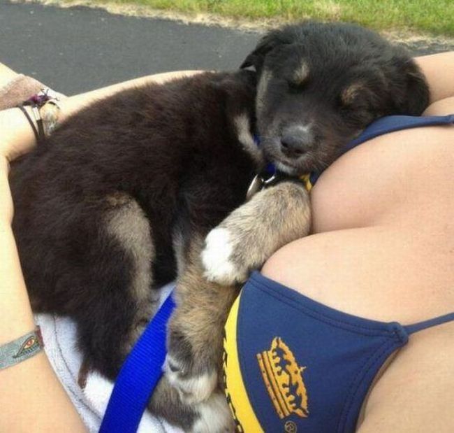 Пошлые картинки для взрослых. Часть 51