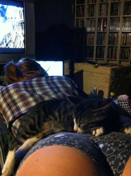 Пошлые картинки для взрослых. Часть 51