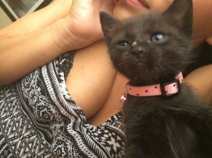 Пошлые картинки для взрослых. Часть 47