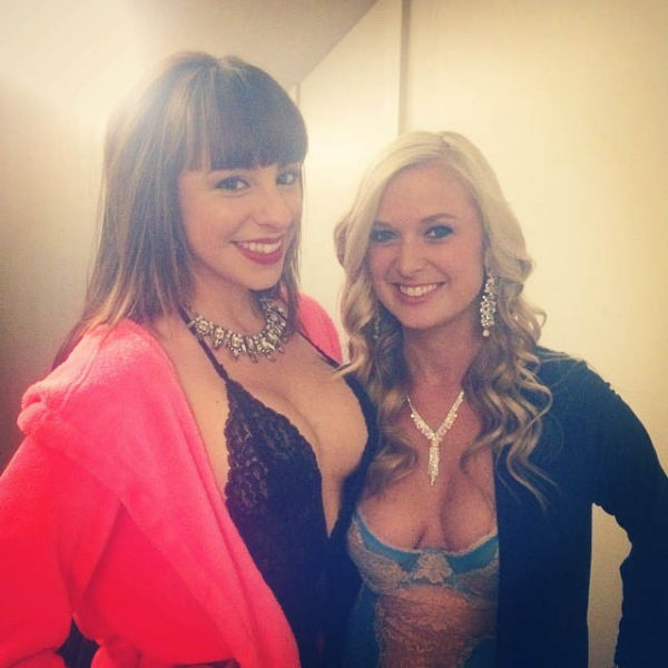 Вечеринка в лучших традициях Playboy (эротика)