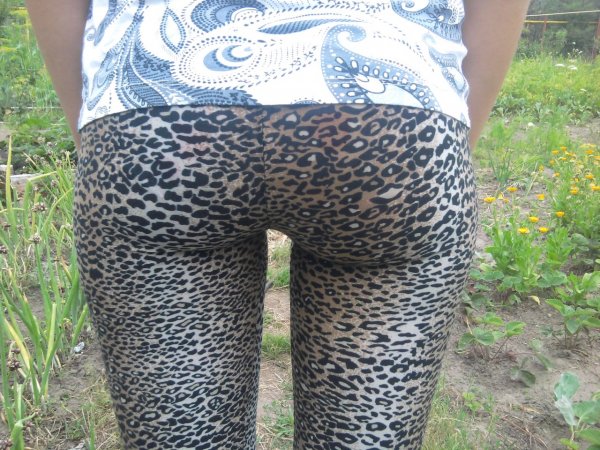 Женские прелести