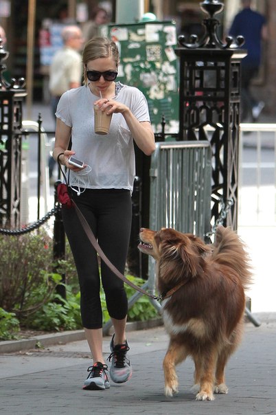 Аманда Сейфред на прогулке в Нью-Йорке, 19 июня