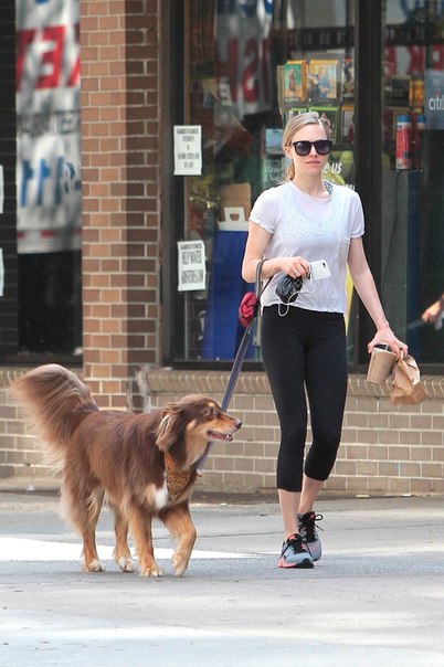 Аманда Сейфред на прогулке в Нью-Йорке, 19 июня