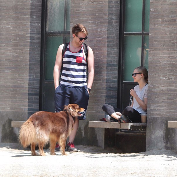 Аманда Сейфред на прогулке в Нью-Йорке, 19 июня