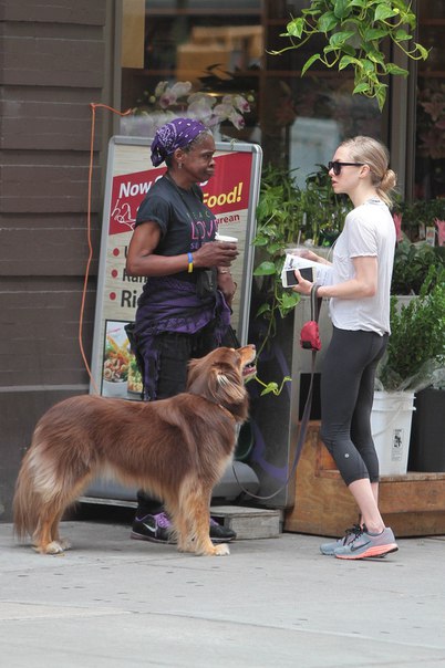 Аманда Сейфред на прогулке в Нью-Йорке, 19 июня