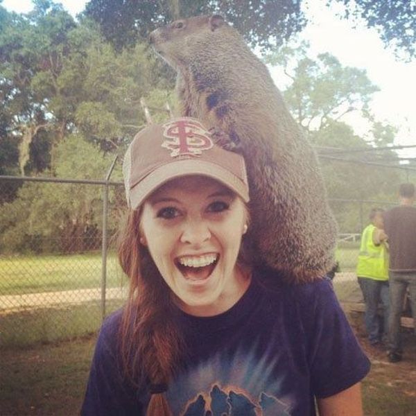 Девчонки веселятся