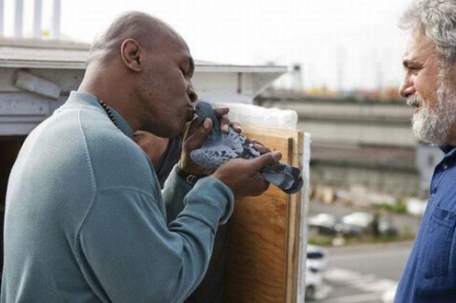 Фотографии знаменитостей, взятые из твиттера