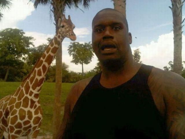 Фотографии знаменитостей, взятые из твиттера