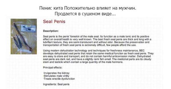 Пенисы животных как вид еды