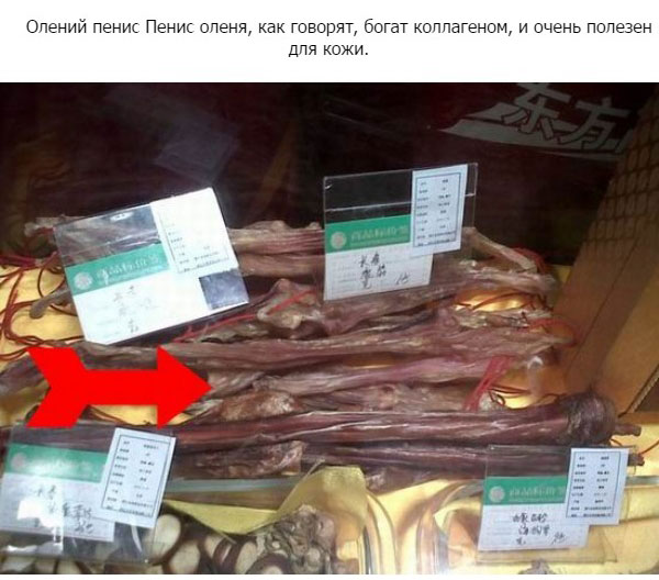 Пенисы животных как вид еды