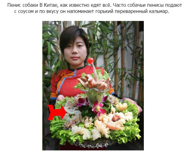 Пенисы животных как вид еды