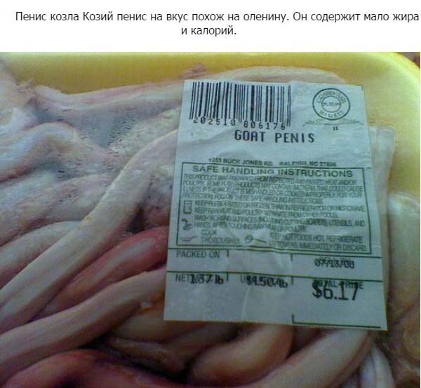 Пенисы животных как вид еды