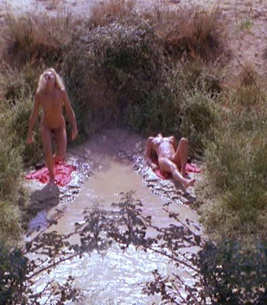 Проект "Голые знаменитости" Эллен Баркин Голая