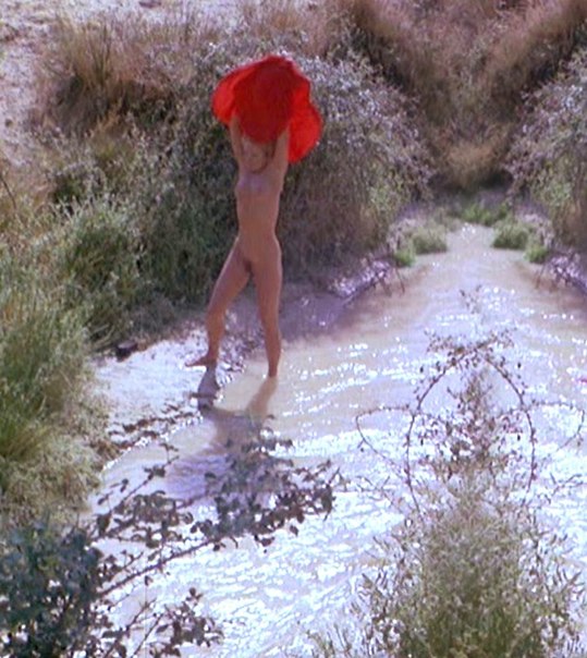 Проект "Голые знаменитости" Эллен Баркин Голая