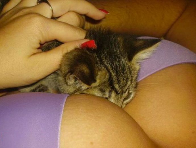 Девушки нюхают дойки