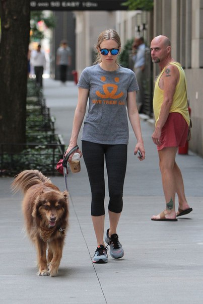 Аманда Сейфрид в Нью-Йорке - 28 июля