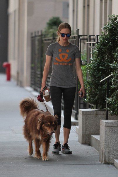 Аманда Сейфрид в Нью-Йорке - 28 июля